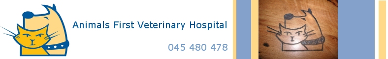Animals First Veterinary Clinic