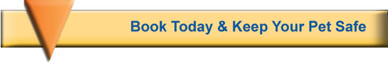 Book-Appointment-Vaccine-Amnesty-2013